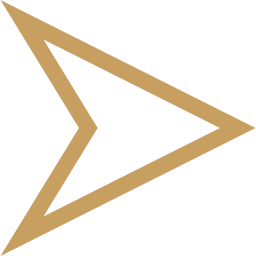 svg icon